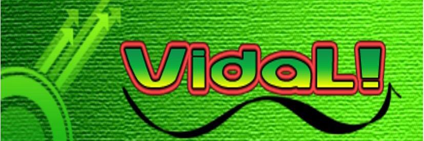 VidaLiinea's profile banner image