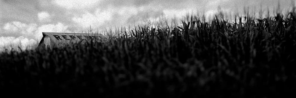 SerpentsofB's profile banner image