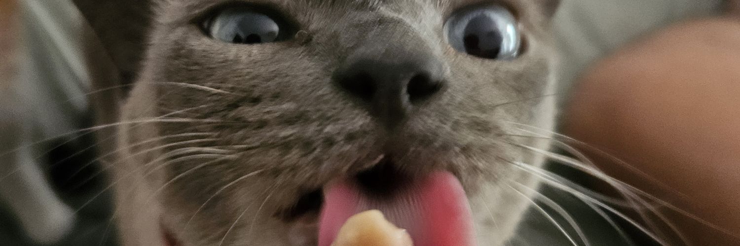 dandszmk's profile banner image