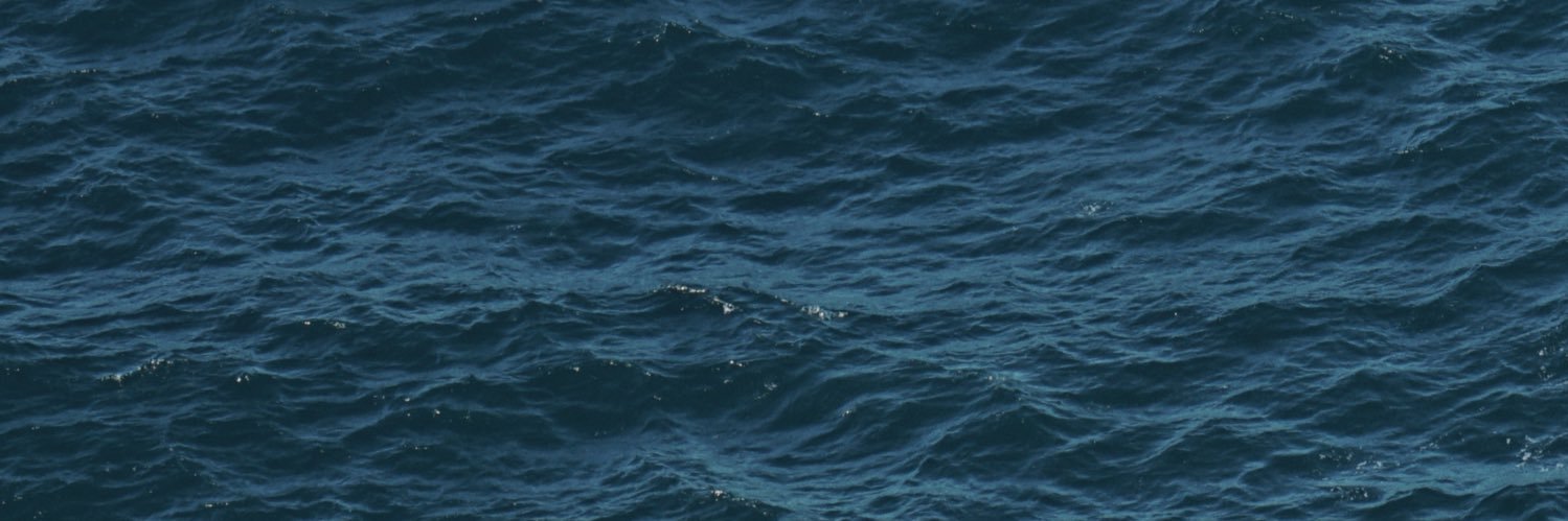Paguasrl's profile banner image