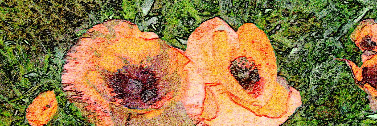 luyalbertos's profile banner image