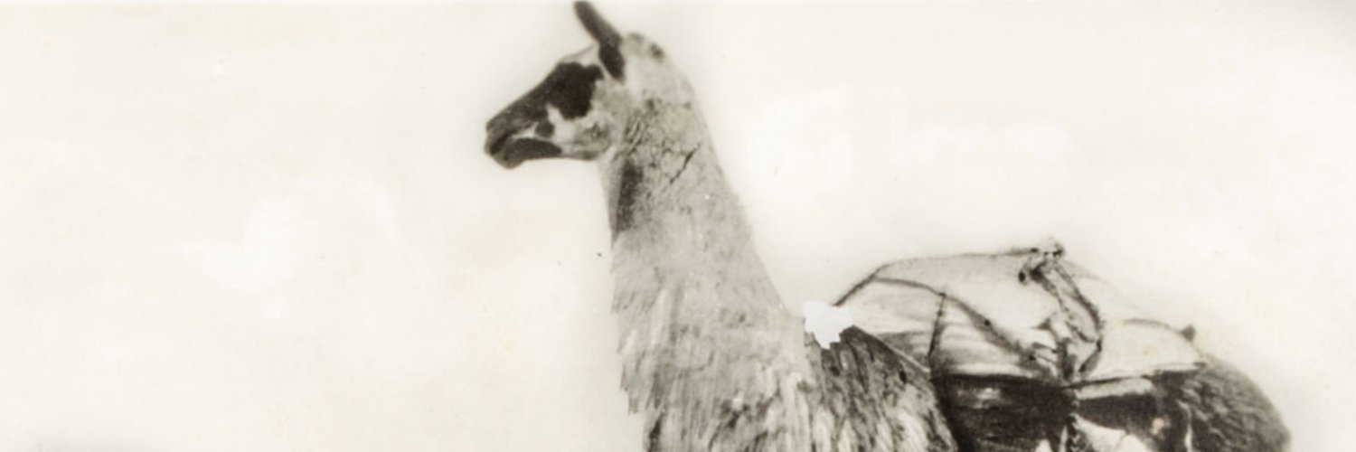 cobozz's profile banner image