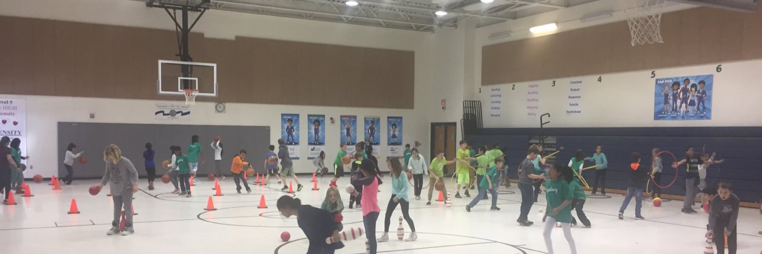 Newton-Lee P.E. banner