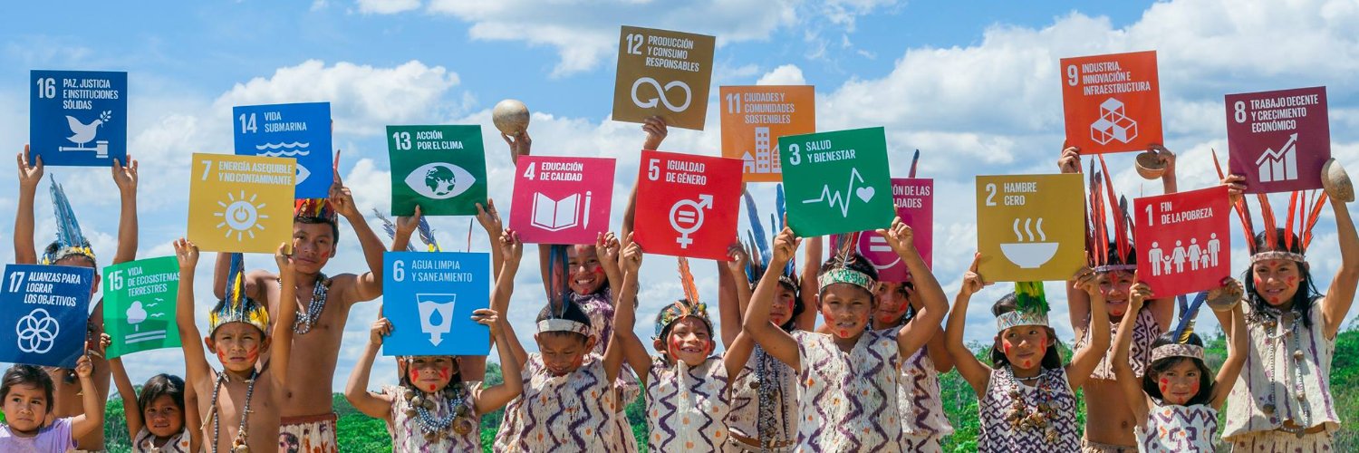 SDG Philanthropy banner