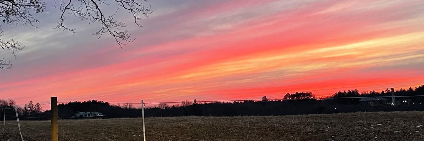LauraMeredith's profile banner image