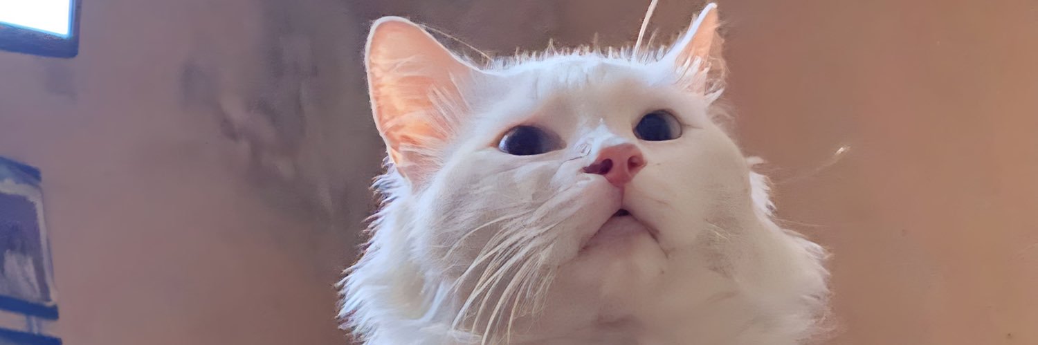 JimeVeronn's profile banner image