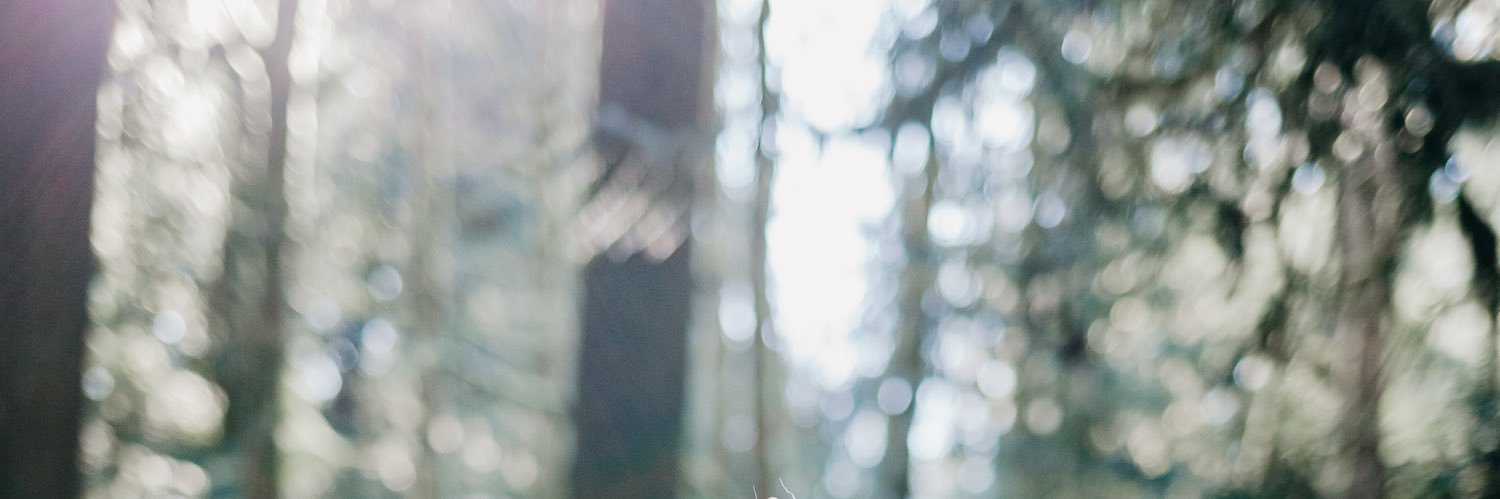 renaslegs's profile banner image