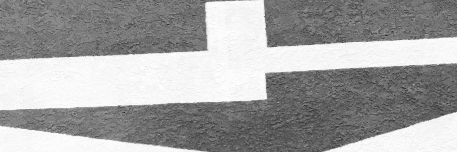 Raven Dakota 🪩 banner