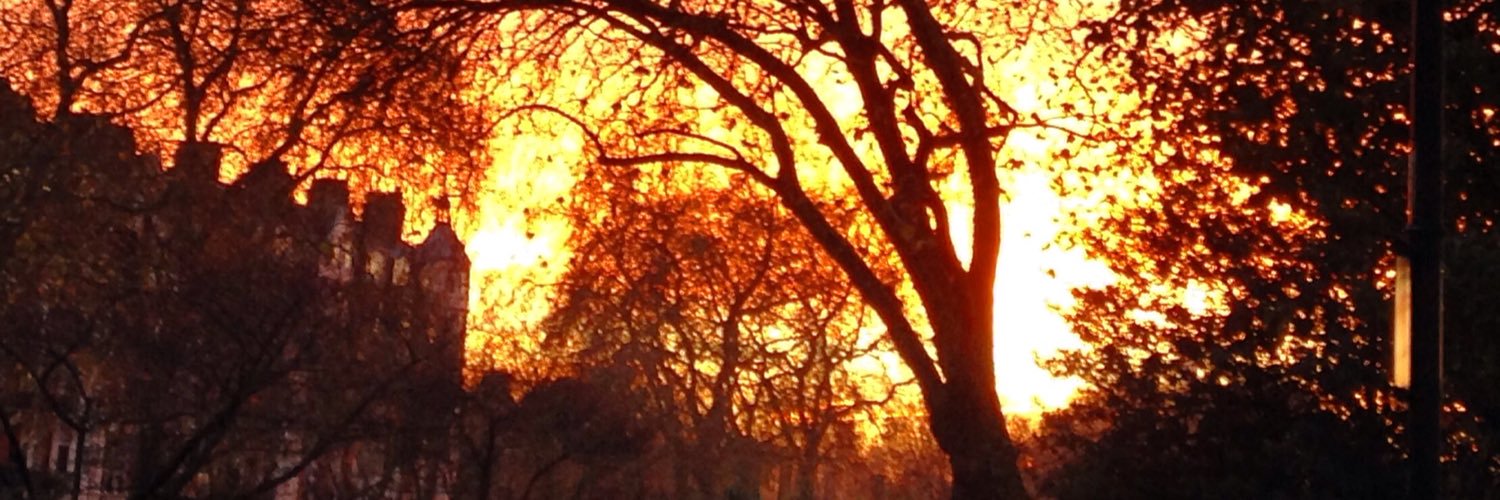 LLittlethinkers's profile banner image