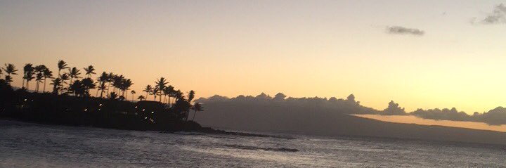 Chloe Barrett banner