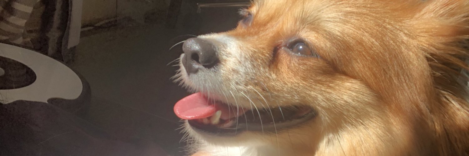 chiwerty's profile banner image
