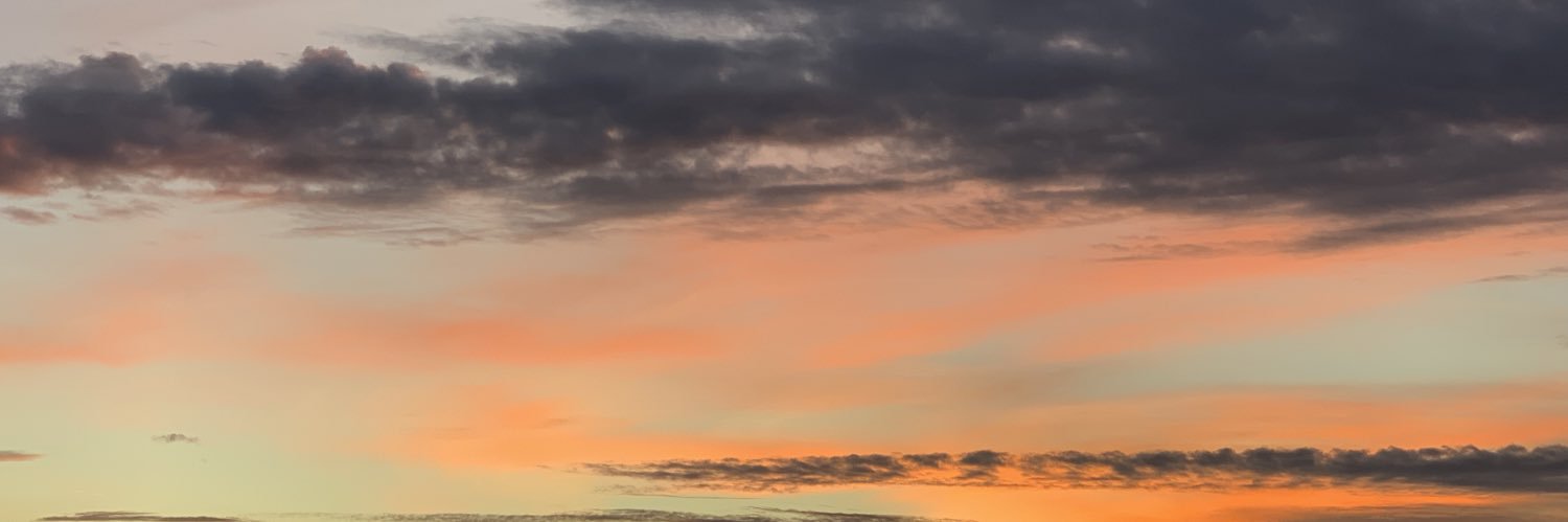 robynnvk's profile banner image