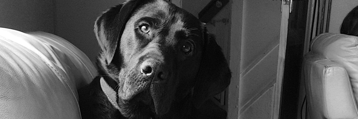 DannyAdams21's profile banner image