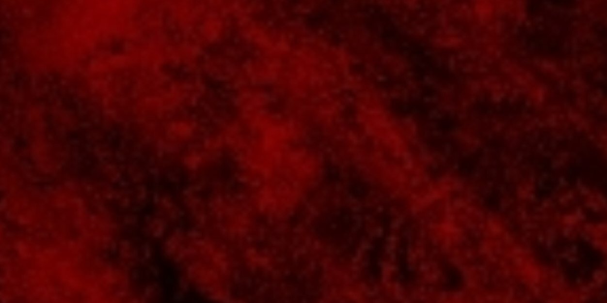 The_AlphaWolf's profile banner image