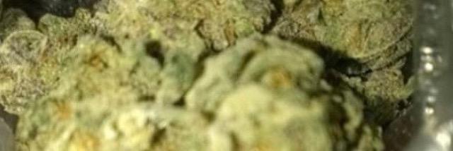 mally_coolguy's profile banner image