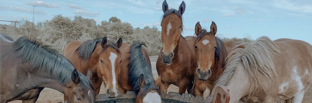 MaysonBentley's profile banner image