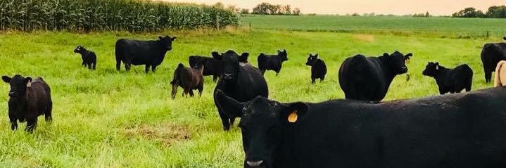 noah_gregurich's profile banner image