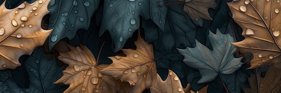 Akf_b52's profile banner image