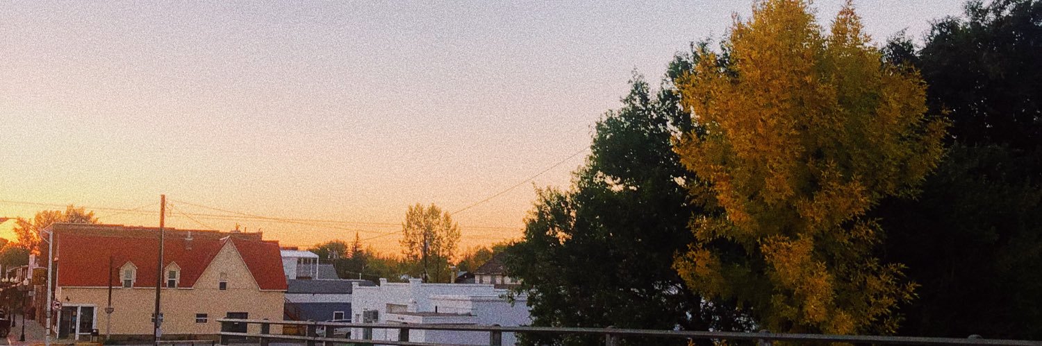 chaynecates's profile banner image