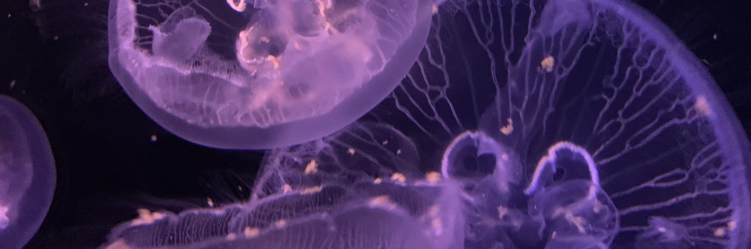 sofcano1_'s profile banner image