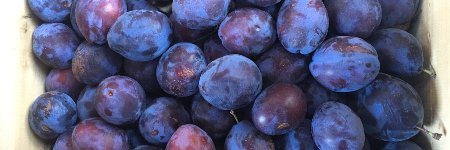 FRESHFARMMVT's profile banner image