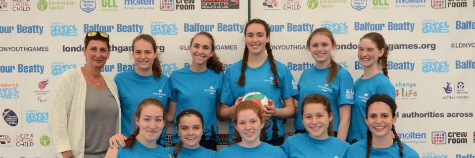 Westminster Volley banner