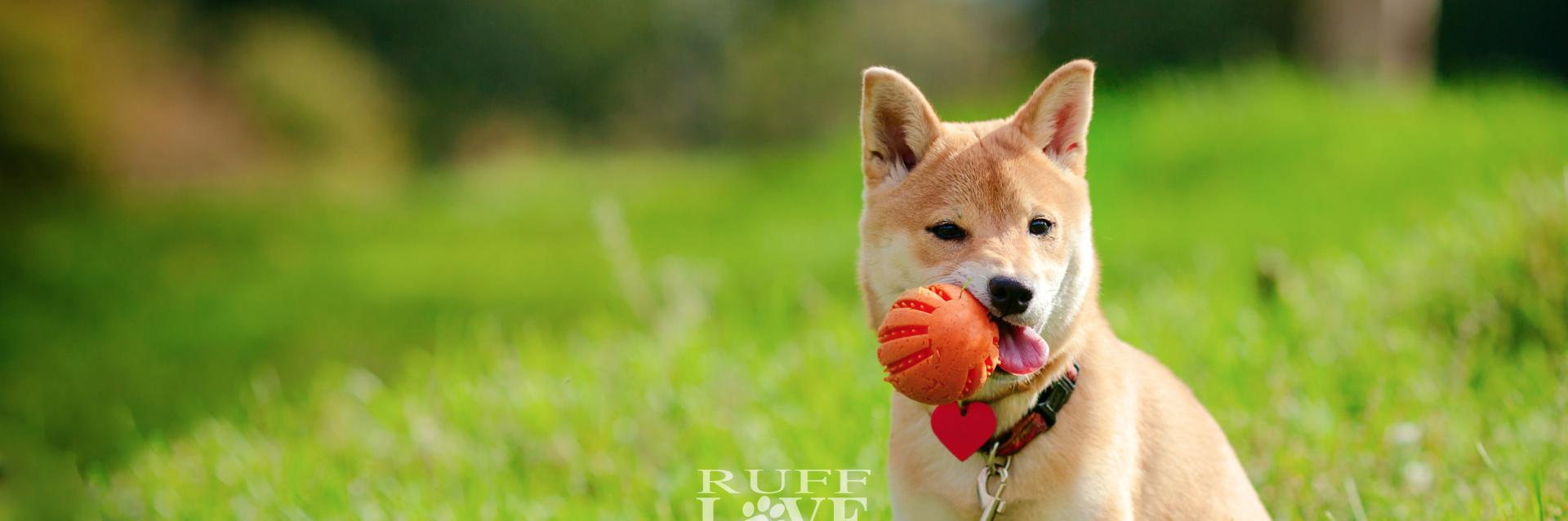 RuffLoveShop's profile banner image