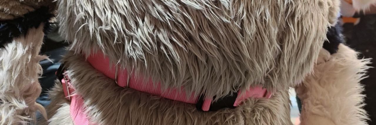 Axelabe's profile banner image