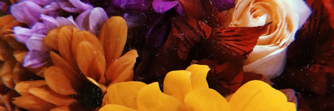 edikananda's profile banner image