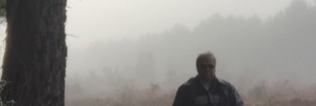 gale_eden's profile banner image