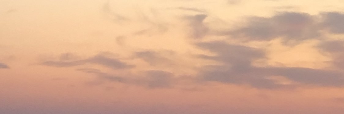 MissSocksPlease banner