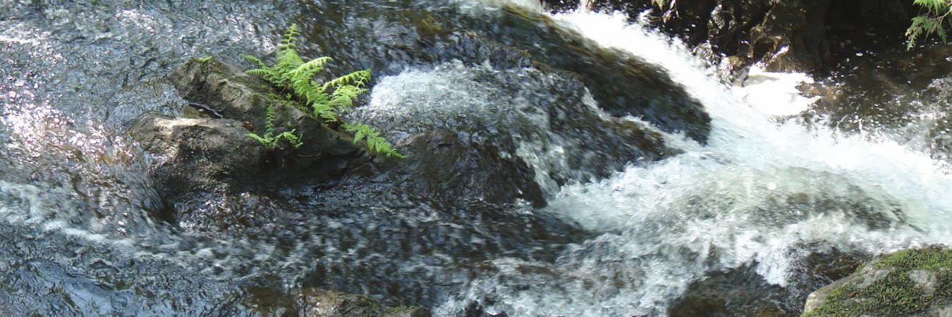 MBinColwood's profile banner image