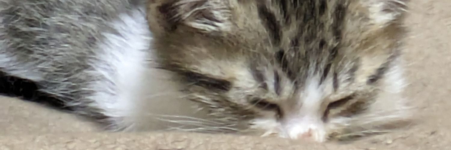 Peachchannel's profile banner image