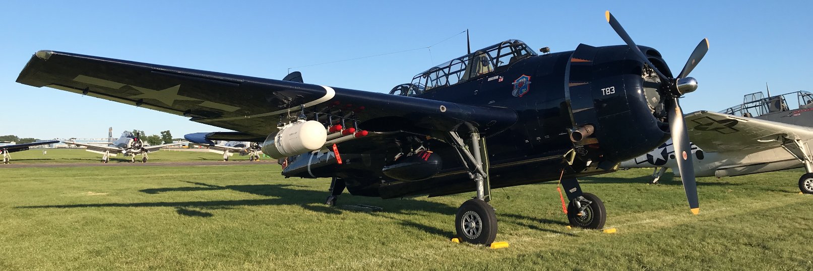 FlyingandLife banner