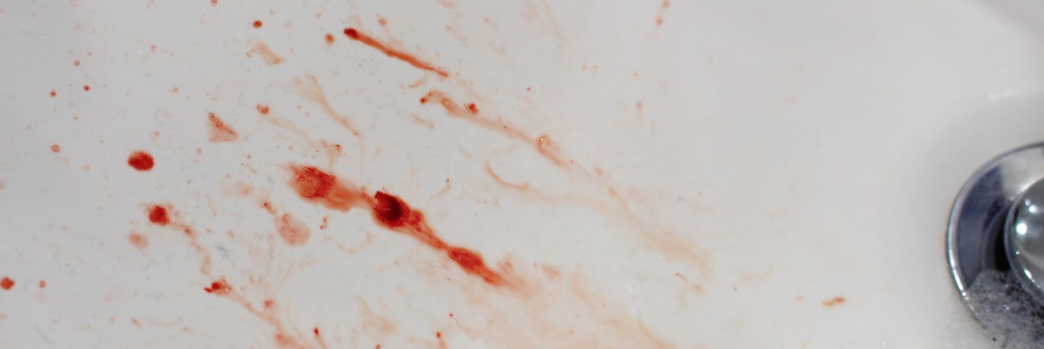 a13xfor's profile banner image