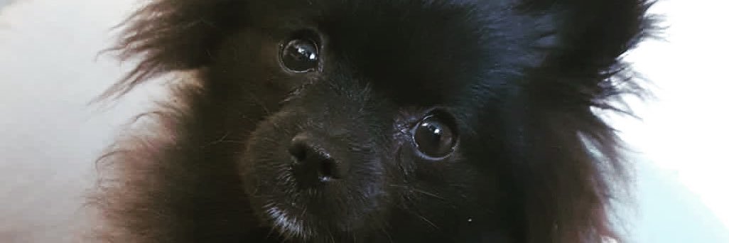sandra17_m's profile banner image