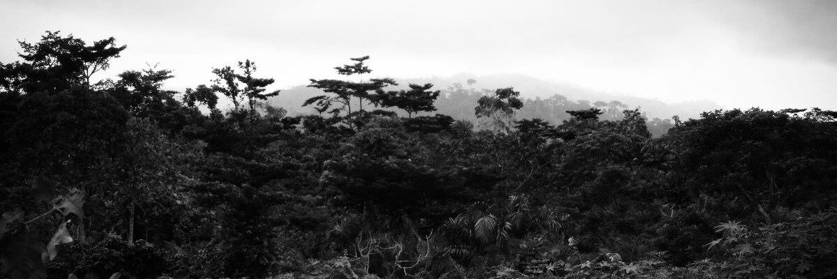 Congo667 banner