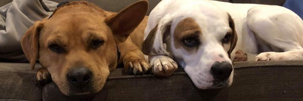 nshosho36 Profile Banner