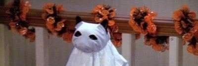 GatoPandillero's profile banner image