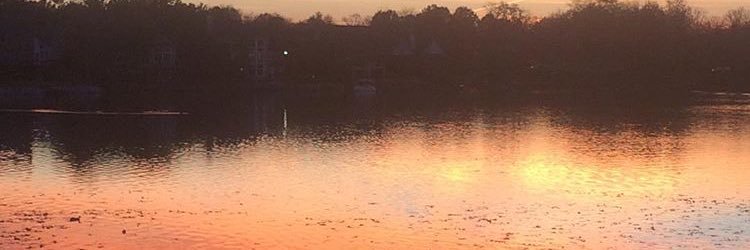 MichaelOvington's profile banner image