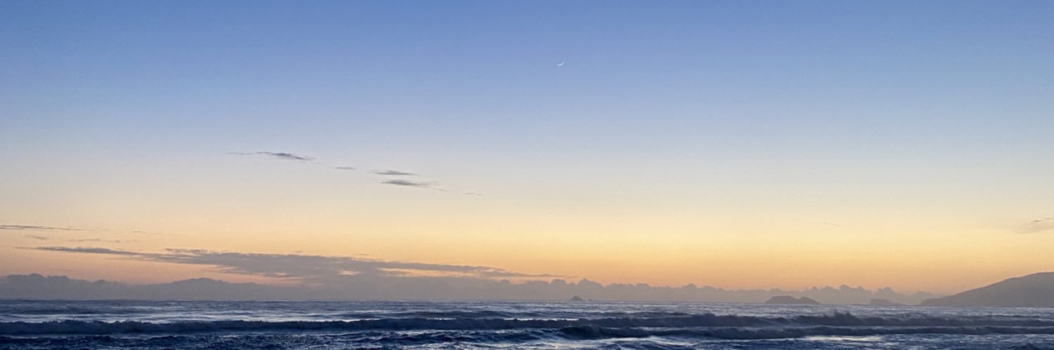 Laura Piacentini banner