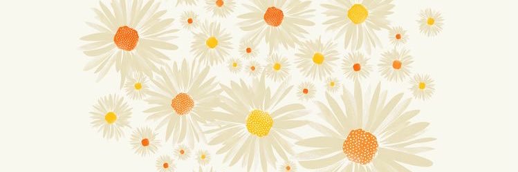 daisylarson_'s profile banner image