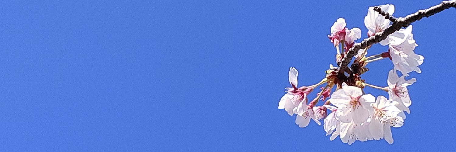 cherryoulife's profile banner image