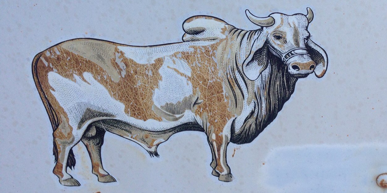 Christian Camargo banner