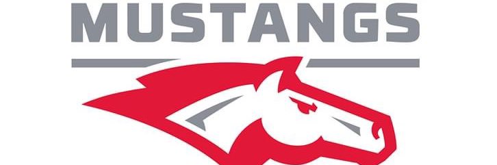 Mrs. Washington banner