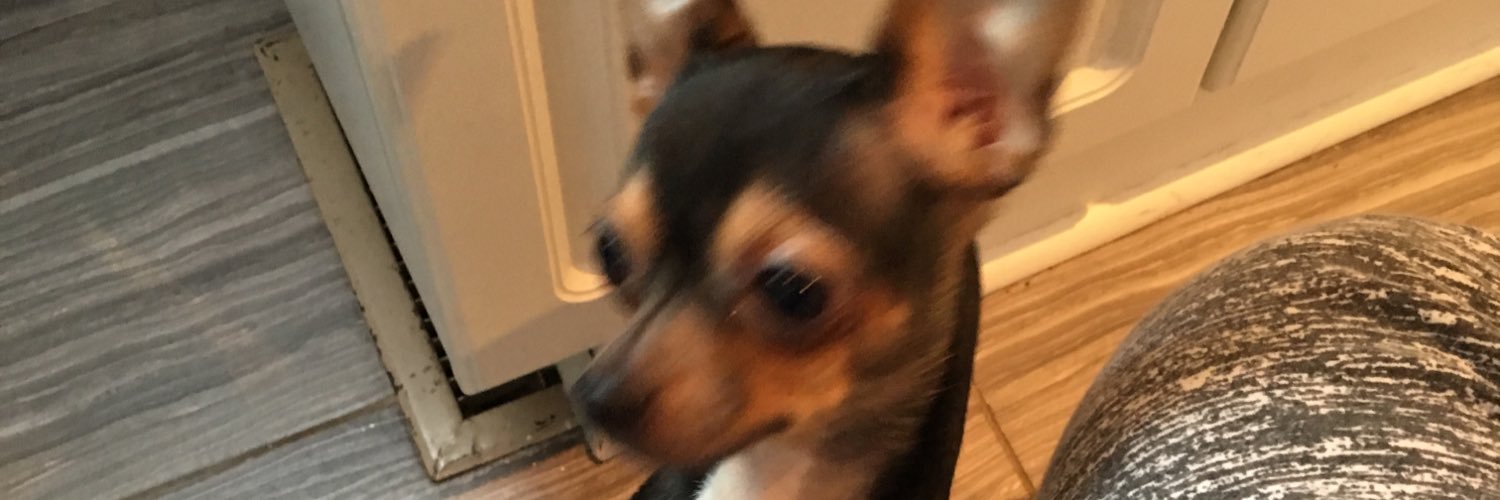 benlev98's profile banner image