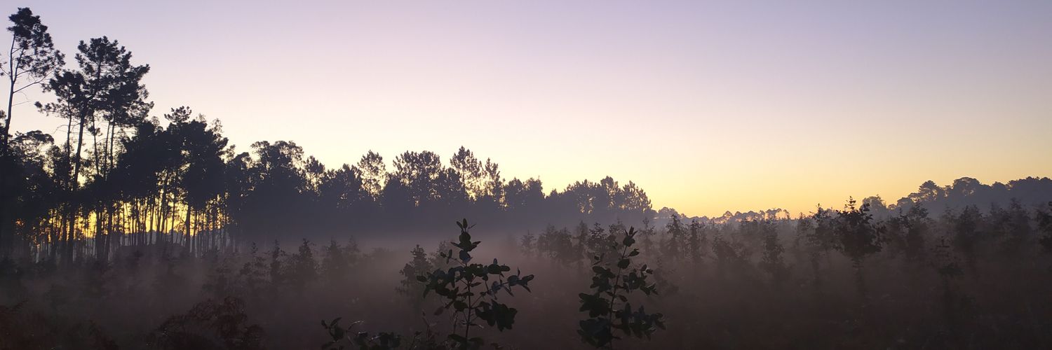 ozytrp2015's profile banner image