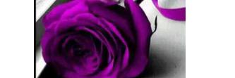 hlhsd2's profile banner image