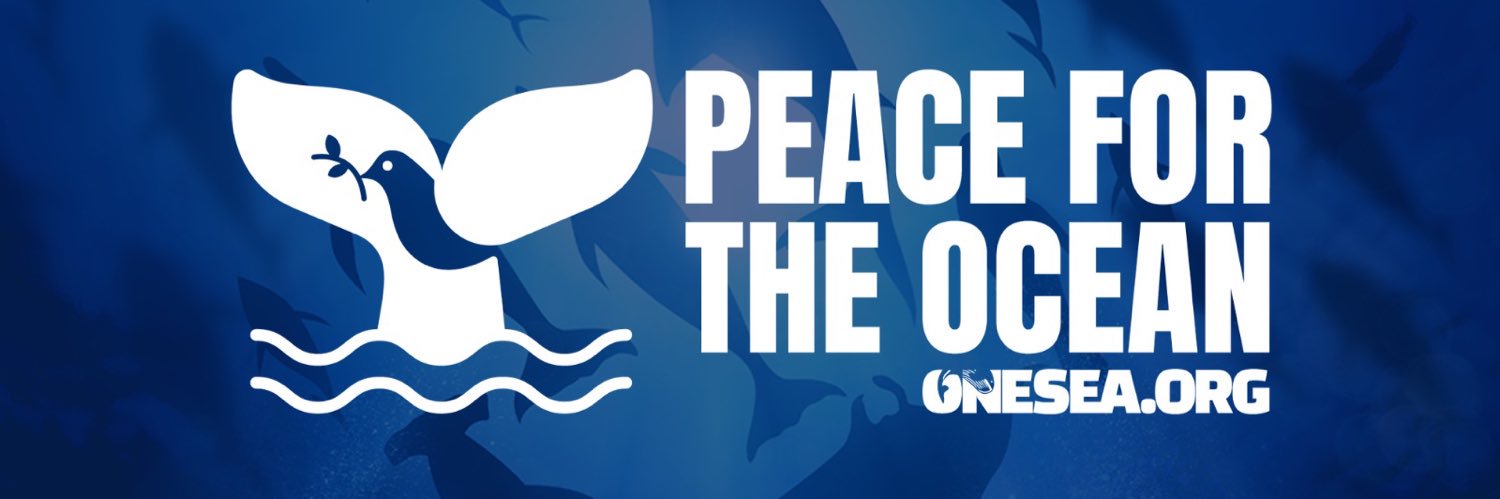 OneSeaOrg's profile banner image