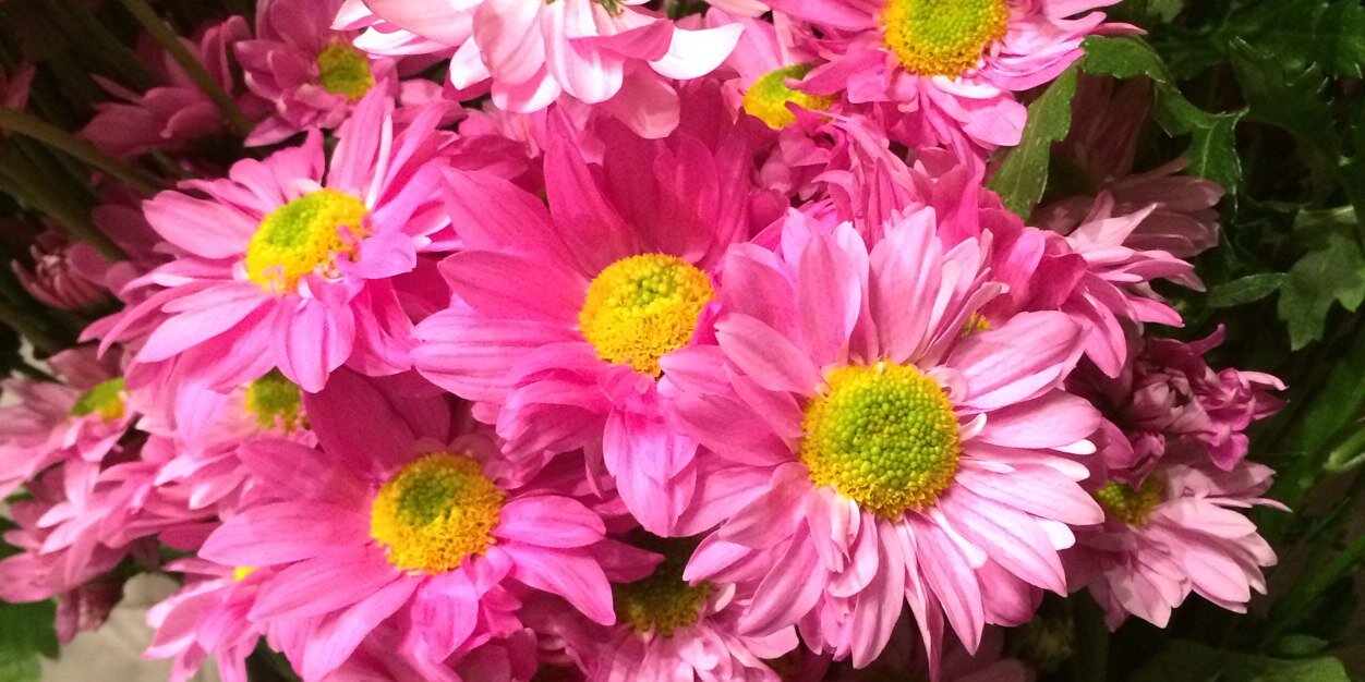 Adilalsulami's profile banner image